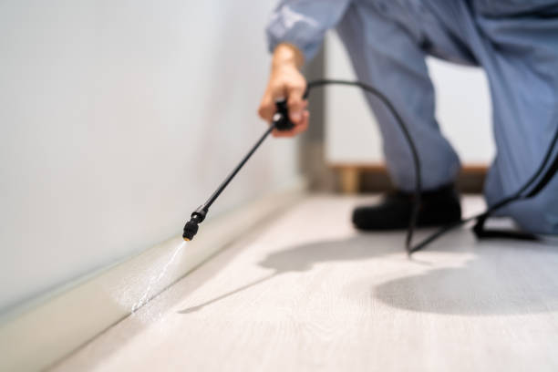 Bed Bug Pre-Treatment Preparation Assessment in Hutchinson Island South