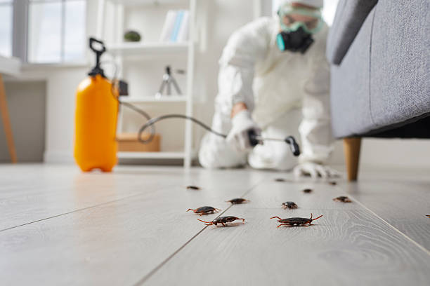 Post-Treatment Bed Bug Interceptor Monitoring in Hutchinson Island South