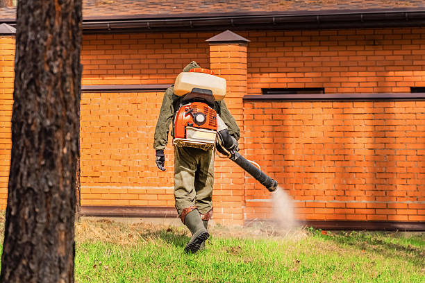 Bed Bug Clearance Verification and Documentation in Hutchinson Island South